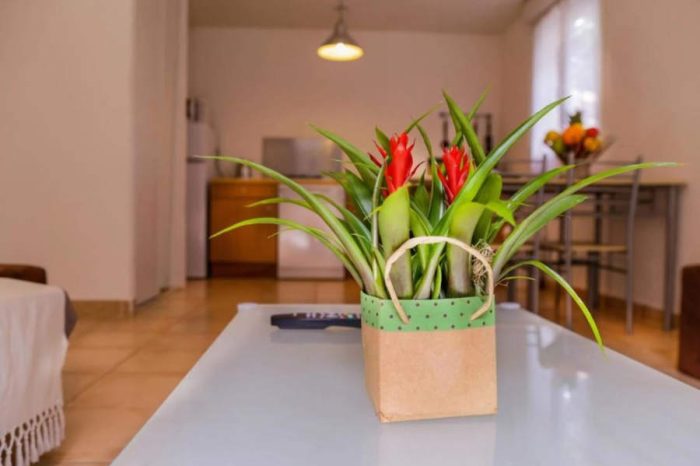 Perla Di Macchia Tourist Residence Bonifacio Villa 2 bedrooms Living room